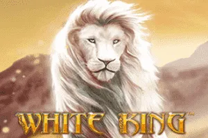 White King - CSPLAY168