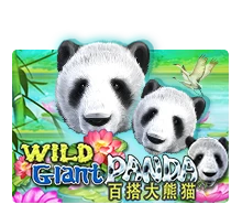 Joker123 : Wild Giant Panda - CSPLAY168