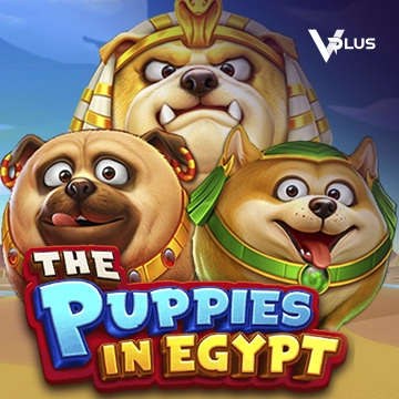 The Puppies In Egypt - CSPLAY168