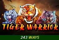 Spadegaming : Tiger Warrior - CSPLAY168
