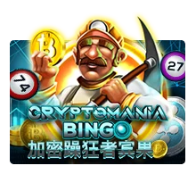 Crypto Mania Bingo - CSPLAY168