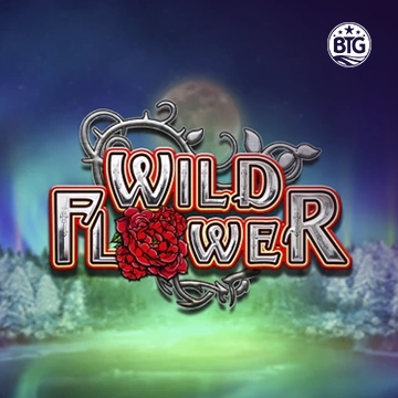 Bigtime : Wild Flower - CSPLAY168
